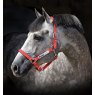 Horseware Horseware Fieldsafe Headcollar