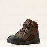 Ariat Ariat Mens Skyline Mid H2O - Chocolate Brown