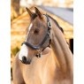 LeMieux LeMieux Leather Grooming Headcollar