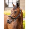 LeMieux LeMieux Leather Grooming Headcollar