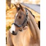 LeMieux LeMieux Leather Grooming Headcollar