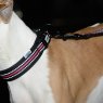 Weatherbeeta Weatherbeeta Reflective Dog Collar