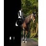 LeMieux LeMieux Reflective Suede Dressage Square - Navy