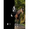 LeMieux LeMieux Reflective Suede Dressage Square - Navy