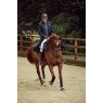 Holland Cooper Holland Cooper Longline Training Coat - Ink Navy