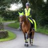 Woof Wear Woof Wear Hi Vis Riding Vest