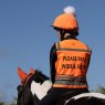 Woof Wear Woof Wear Hi Vis Riding Vest