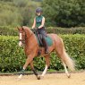 Shires Shires Team Aubrion Sleeveless Baselayer - Green
