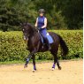 Shires Shires Team Aubrion Sleeveless Baselayer - Navy