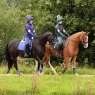 Shires Shires Team Aubrion Long Sleeve Baselayer - Navy