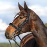 Passier Passier Moonlight Double Bridle w/ Reins