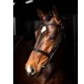 LeMieux LeMieux Arika Cavesson Bridle