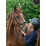EcoRider Ecorider Kilkenny v2.0 Bridle
