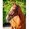 EcoRider Ecorider Kilkenny v2.0 Bridle