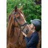 EcoRider Ecorider Kilkenny v2.0 Bridle