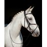 EcoRider Ecorider Galway v2.0 Grackle Bridle