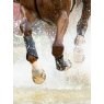 LeMieux LeMieux MIMsafe XC Boot - Front