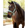 LeMieux LeMieux Versailles Headcollar - Aqua