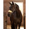 LeMieux LeMieux Vogue Headcollar - Mimosa