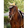 LeMieux LeMieux Classic Fly Hood - Mimosa