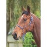 Shires Shires Rope Control Headcollar