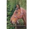 Shires Shires Rope Control Headcollar