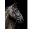 EcoRider Ecorider Ecosoft Luxe Bridle