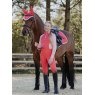 LeMieux LeMieux Harlow Long Sleeve Base Layer - Coral Crush