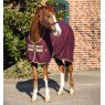 Amigo Amigo Stable Sheet