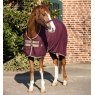 Amigo Amigo Stable Sheet