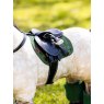 LeMieux LeMieux Toy Pony Pad - Hunter Green