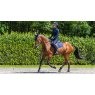 LeMieux LeMieux Suede Close Contact Square - Navy