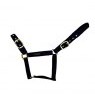 Cameo Equine Cameo Equine Suede Padded Headcollar
