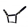 Cameo Equine Cameo Equine Suede Padded Headcollar
