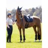 LeMieux LeMieux 3D Mesh Self-Cool Dressage Square - Navy