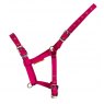 Cameo Equine Cameo Equine Foal Headcollar