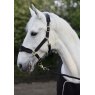 Cameo Equine Cameo Equine Suede Elite Headcollar & Leadrope