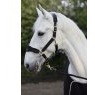Cameo Equine Cameo Equine Suede Elite Headcollar & Leadrope