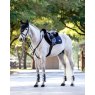 LeMieux LeMieux Puissance Suede CC Pad - Navy