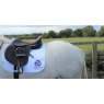 Cavaletti Collection GP