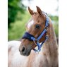 LeMieux LeMieux Mini Vogue Headcollar - Benetton Blue