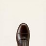Ariat Ariat Men's Devon Zip Paddock Boot