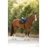 Eskadron Eskadron Cotton Dressage Saddlecloth - Navy