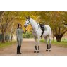 LeMieux LeMieux Frances Quarter Zip Fleece - Rosemary