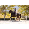 LeMieux LeMieux Suede Dressage Square - Rosemary