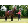 LeMieux LeMieux Suede Close Contact Square - Cranberry