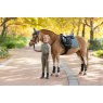 LeMieux LeMieux Mini Suede Close Contact Square - Rosemary