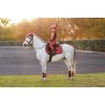 LeMieux LeMieux Mini Suede Close Contact Square - Cranberry