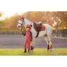 LeMieux LeMieux Mini Suede Close Contact Square - Cranberry