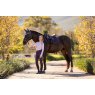 LeMieux LeMieux Loire Close Contact Square - Juniper
